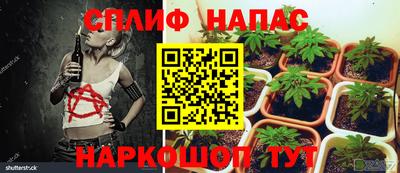 МДПВ Кунгур